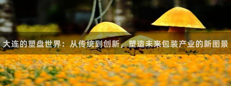 太阳集团游戏平台：大连的塑盘世界：从传统到创新，塑造未来包装