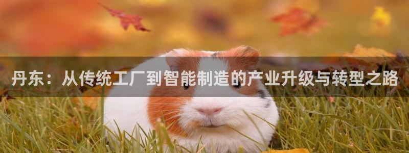 太阳集团城网站2：丹东：从传统工厂到智能制造的产业升级与转型