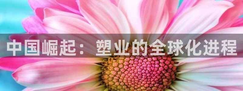 太阳gg娱选_2o5o26：中国崛起：塑业的全球化进程