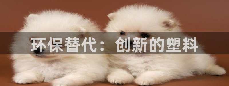 高淳红太阳集团：环保替代：创新的塑料