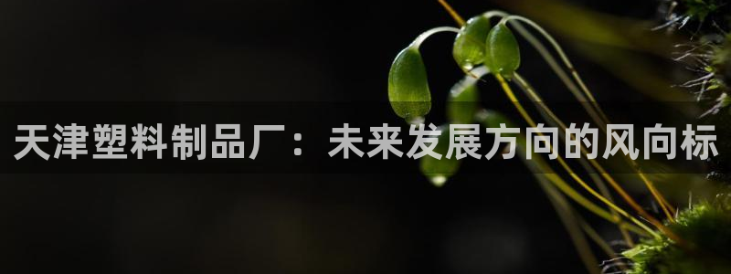 太阳成集团没有赌业吗：天津塑料制品厂：未来发展方向的风向标