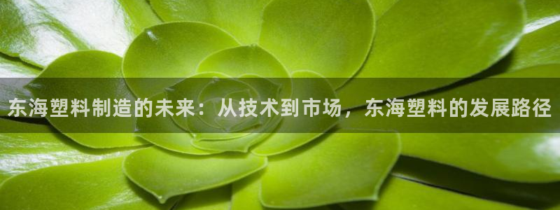 太阳集团3143：东海塑料制造的未来：从技术到市场，东海塑料