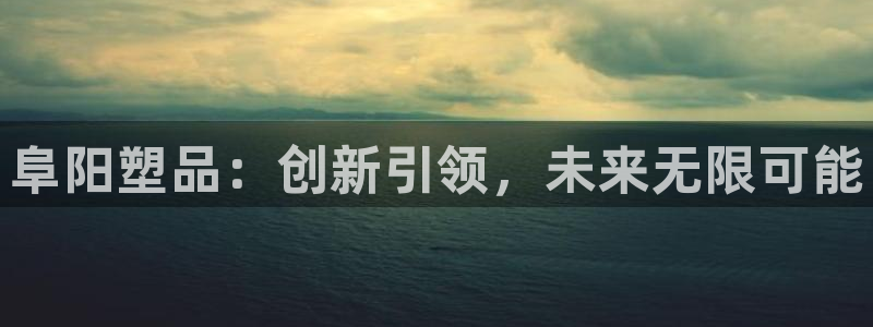 太阳集团娱：阜阳塑品：创新引领，未来无限可能