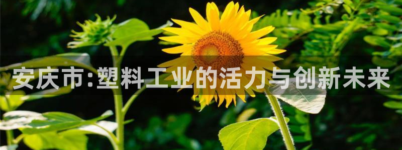 太阳成集团娱乐：安庆市:塑料工业的活力与创新未来
