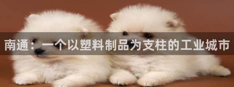 太阳集团董事长的儿子：南通：一个以塑料制品为支柱的工业城市