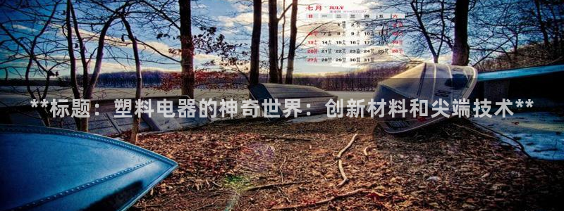 太阳成集团tyc234cc官网：**标题：塑料电器的神奇世界