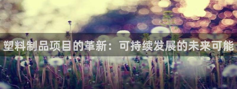 太阳集团城2017网站：塑料制品项目的革新：可持续发展的未来