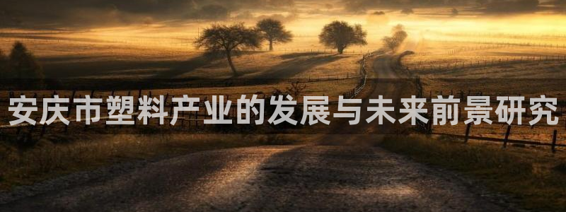 太阳成集团网址 app：安庆市塑料产业的发展与未来前景研究