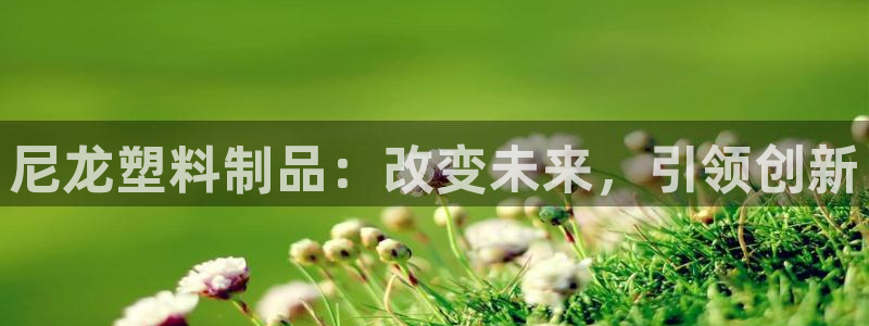 太阳集团城所有网址：尼龙塑料制品：改变未来，引领创新