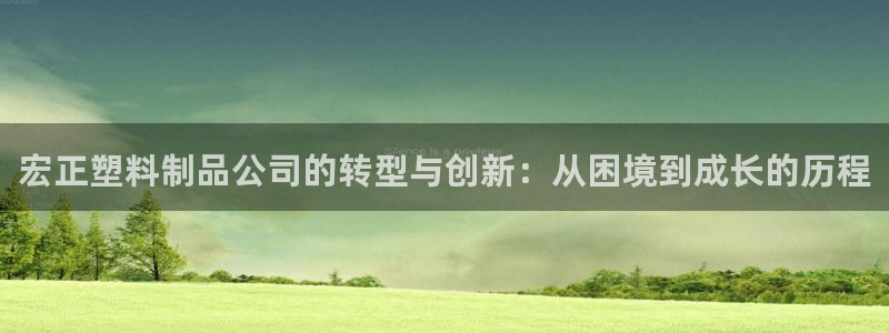 太阳集团1088vip：宏正塑料制品公司的转型与创新：从困境