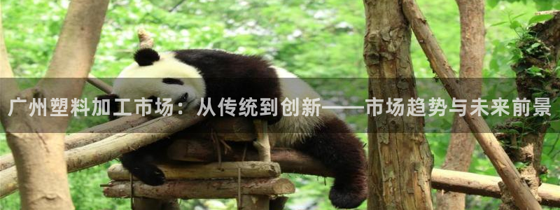 太阳集团电子游戏返还8元：广州塑料加工市场：从传统到创新——