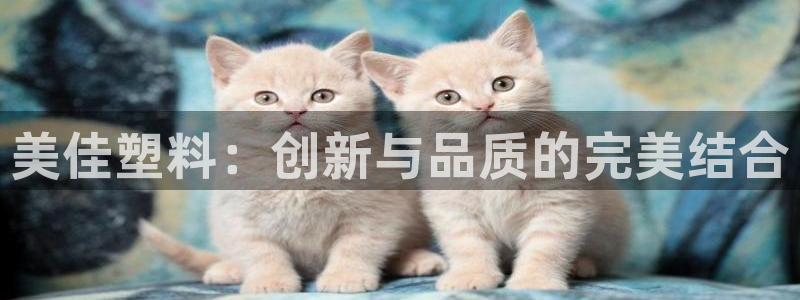 太阳成集团tyc234cc福利：美佳塑料：创新与品质的完美结