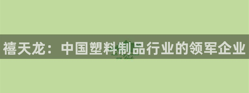 太阳app下载网址进入：禧天龙：中国塑料制品行业的领军企业