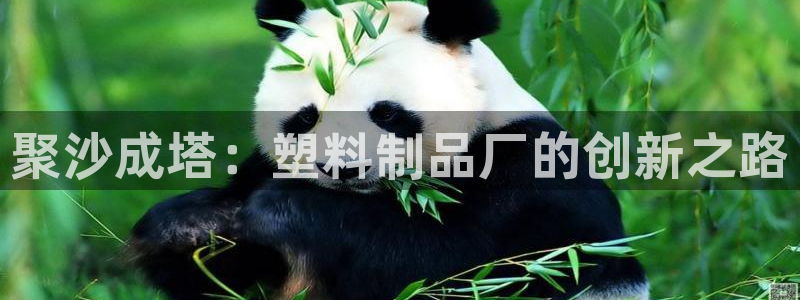 澳门太阳游戏城：聚沙成塔：塑料制品厂的创新之路