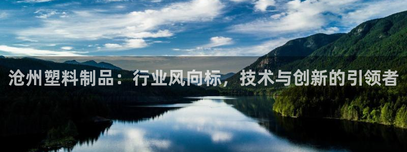 太阳诚集团网址：沧州塑料制品：行业风向标，技术与创新的引领者