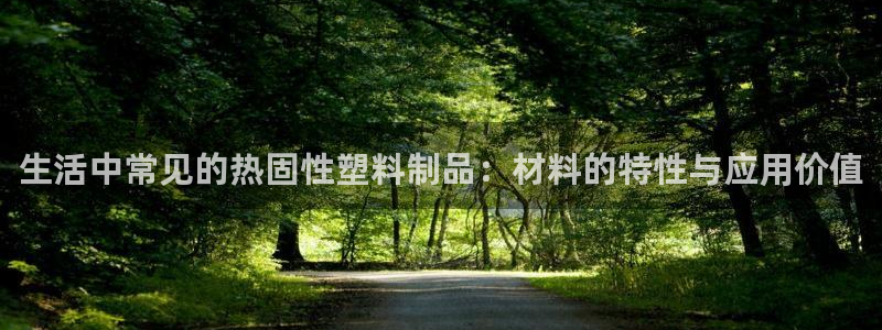 太阳游戏城app：生活中常见的热固性塑料制品：材料的特性与应