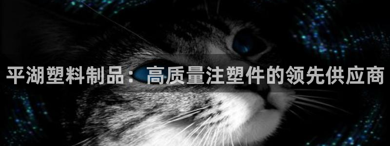 太阳集团旗下品牌：平湖塑料制品：高质量注塑件的领先供应商
