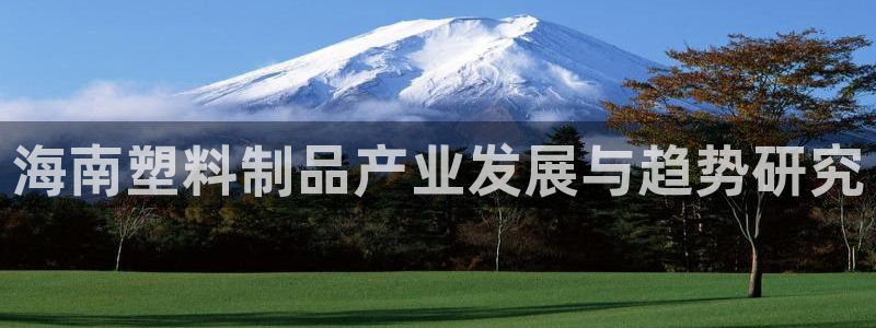 太阳成集团下载：海南塑料制品产业发展与趋势研究