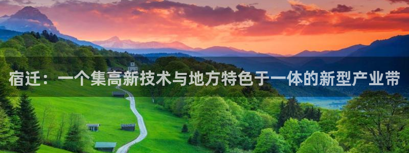 太阳手机游戏：宿迁：一个集高新技术与地方特色于一体的新型产业