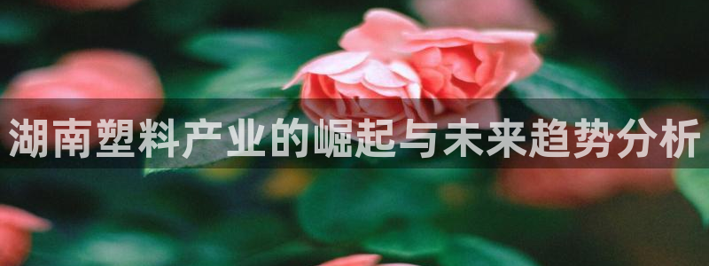 太阳集团娱乐所有网站app游戏优势：湖南塑料产业的崛起与未来