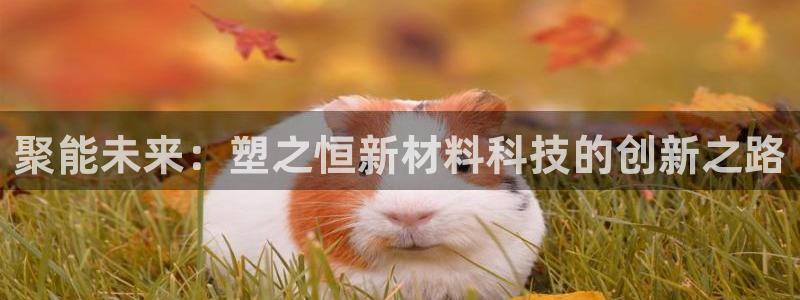 063801太阳集团备用网址：聚能未来：塑之恒新材料科技的创