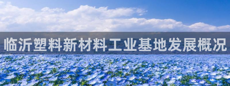 太阳集团城网站：临沂塑料新材料工业基地发展概况