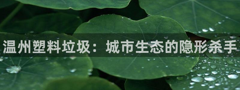 太阳成集团娱乐：温州塑料垃圾：城市生态的隐形杀手