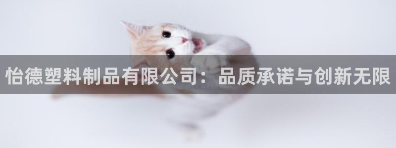 太阳成集团老板照片：怡德塑料制品有限公司：品质承诺与创新无限