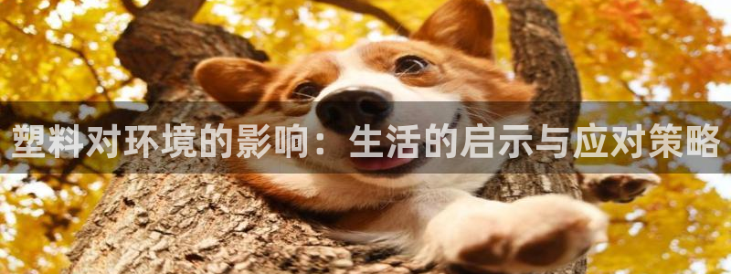 太阳2平台下载：塑料对环境的影响：生活的启示与应对策略